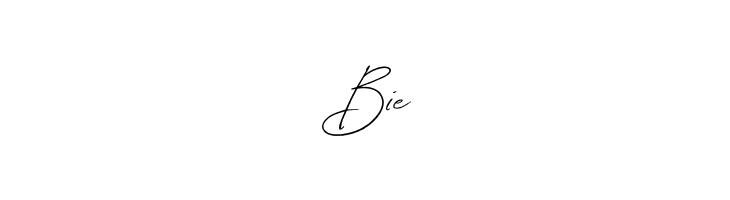 Amelia Bloomer  Free Fonts Download