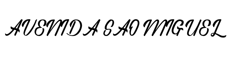 Regina Script  Free Fonts Download