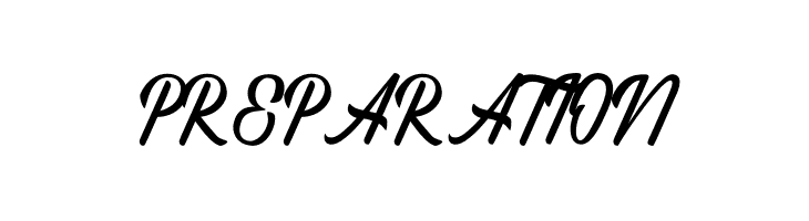 Regina Script  Free Fonts Download