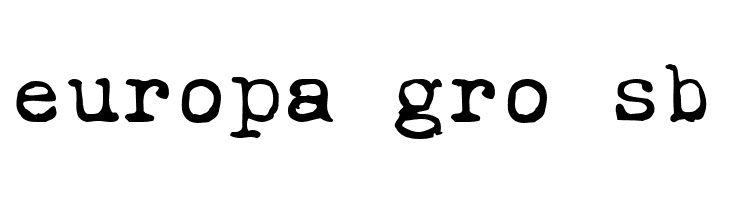 Ieicester Text  Free Fonts Download