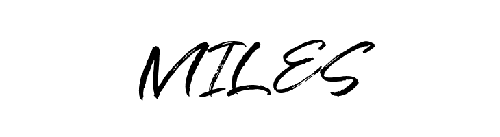 Antam  Free Fonts Download