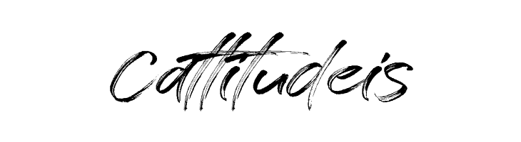 Free License  Free Fonts Download