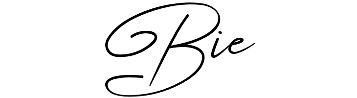 Angers Script  Free Fonts Download