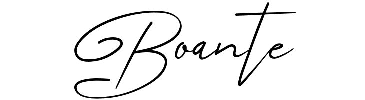 Angers Script  Free Fonts Download