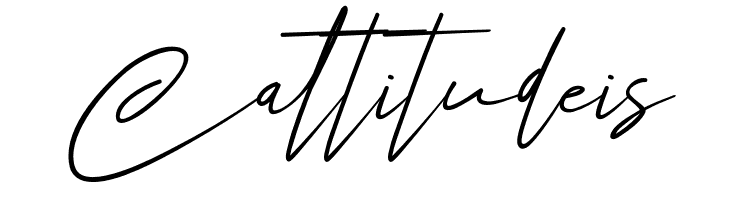 Angers Script  Free Fonts Download