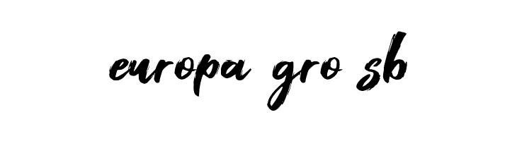 Foxlite Script  Free Fonts Download