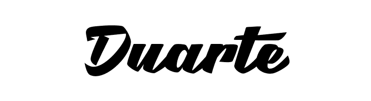 Brotha Script  Free Fonts Download