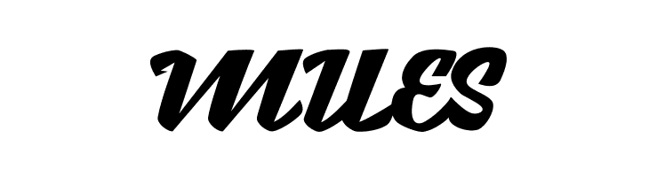 Brotha Script  Free Fonts Download