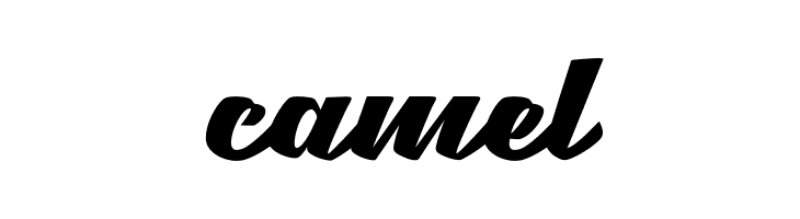 Brotha Script  Free Fonts Download