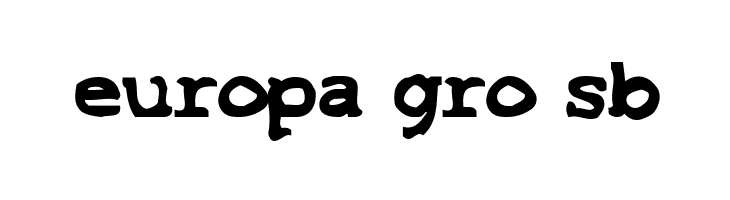 SF Espionage Heavy  Free Fonts Download