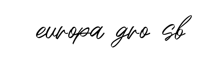 Radith  Free Fonts Download