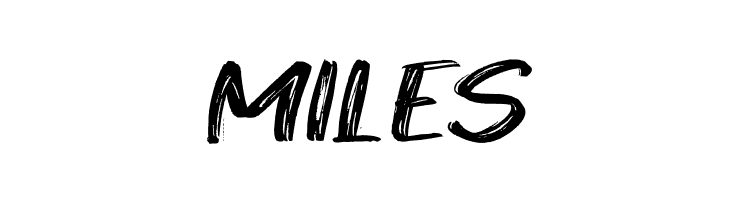 West Fighter  Free Fonts Download