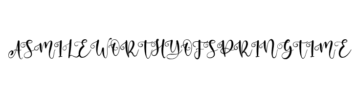 Absollute  Free Fonts Download