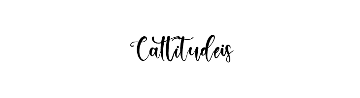 Absollute  Free Fonts Download