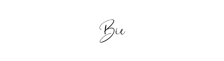BarcelonaHistoria-Regular  Free Fonts Download