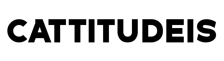 Dulkanyca Bold  Free Fonts Download