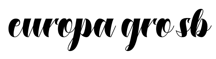 DustineScript  Free Fonts Download