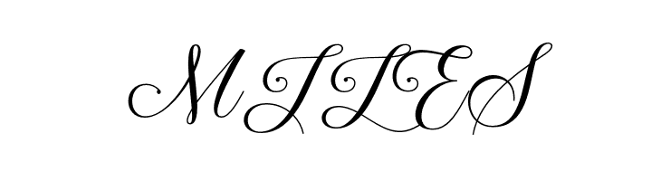 BeautyQueenScript  Free Fonts Download