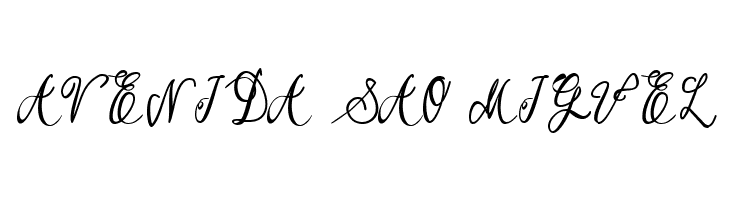 Garbera  Free Fonts Download