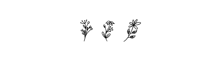 Botani  Free Fonts Download