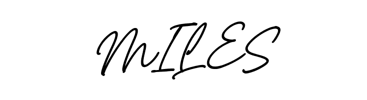 Castello Italic  Free Fonts Download