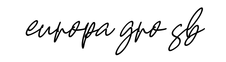 Castello Italic  Free Fonts Download