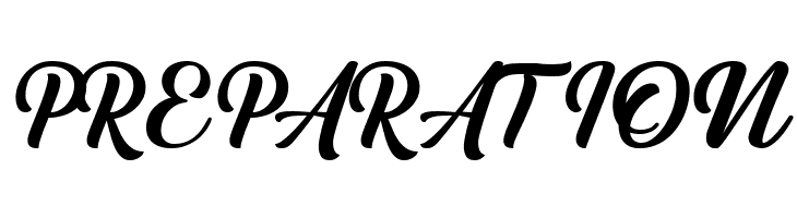 Austein Script  Free Fonts Download