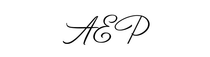 BirminghamScriptDemo  Free Fonts Download