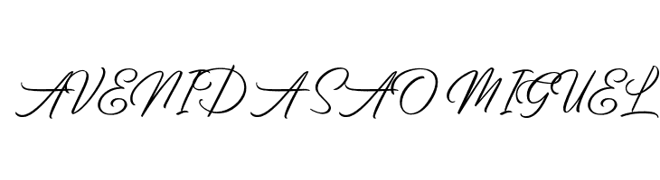 BirminghamScriptDemo  Free Fonts Download