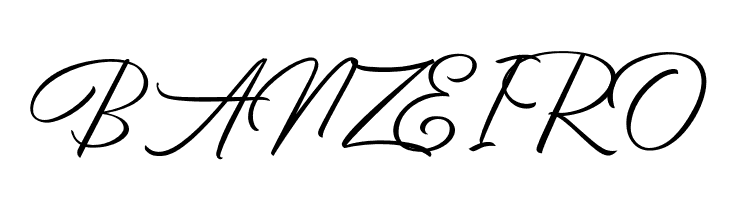 BirminghamScriptDemo  Free Fonts Download