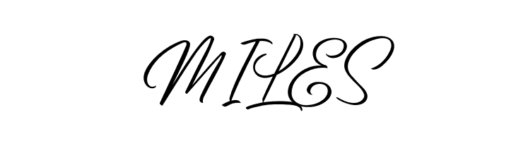 BirminghamScriptDemo  Free Fonts Download