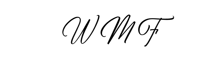 BirminghamScriptDemo  Free Fonts Download