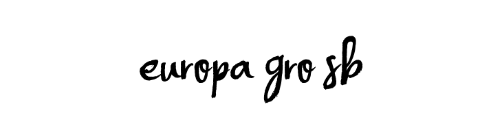 Handsome  Free Fonts Download