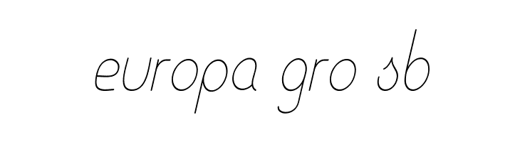 Ensure Medium Italic  Free Fonts Download