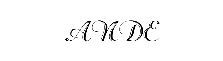 Rechtman-Script Medium  Free Fonts Download