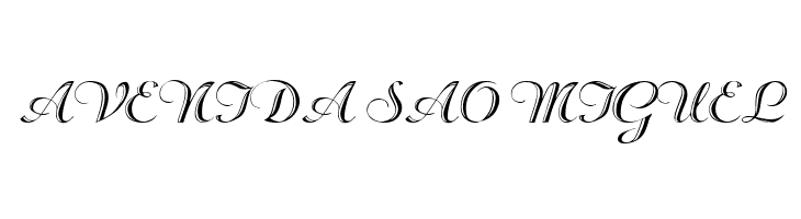 Rechtman-Script Medium  Free Fonts Download