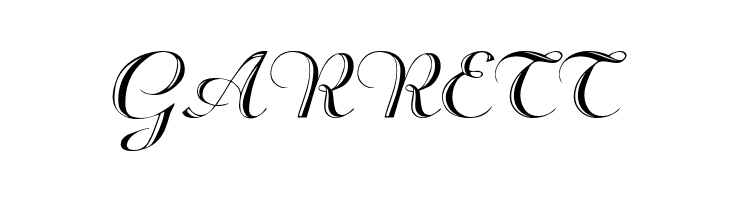 Rechtman-Script Medium  Free Fonts Download