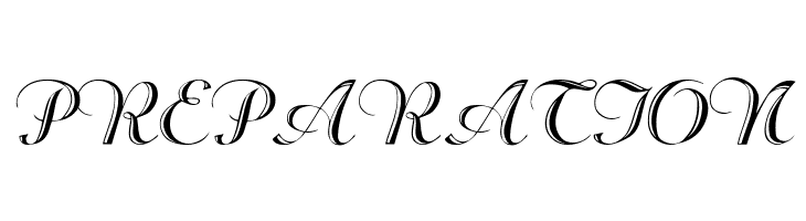 Rechtman-Script Medium  Free Fonts Download