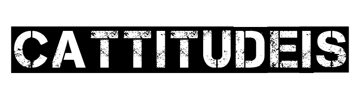 Capture it 2  Free Fonts Download