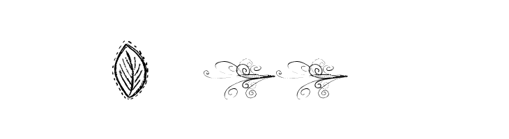 MTF Funk Fusion  Free Fonts Download