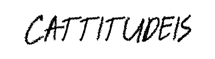 BANDEM  Free Fonts Download