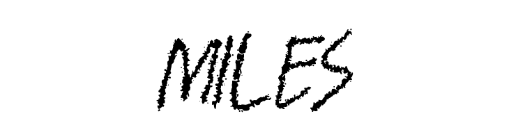 BANDEM  Free Fonts Download