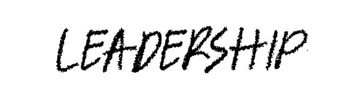 BANDEM  Free Fonts Download