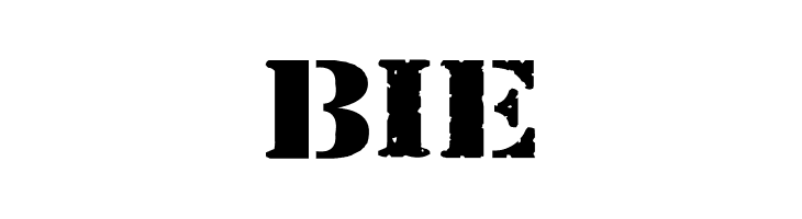 Bundy Yellow Solid  Free Fonts Download
