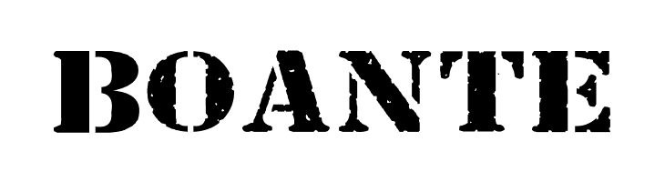 Bundy Yellow Solid  Free Fonts Download