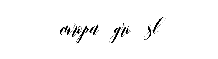 Leather  Free Fonts Download