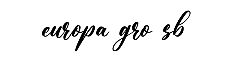 Andina  Free Fonts Download