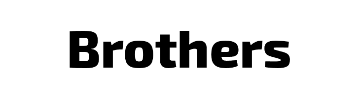 Exo 2 Extra Bold  Free Fonts Download