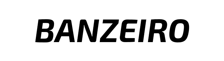 Exo 2 Bold Italic  Free Fonts Download