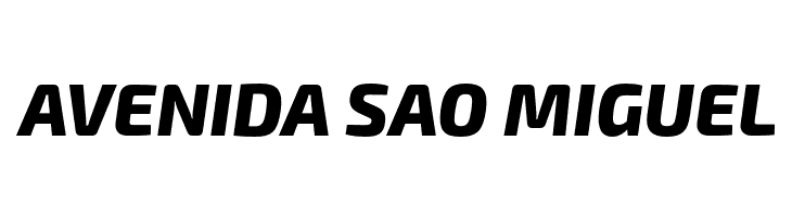 Exo 2 Extra Bold Italic  Free Fonts Download